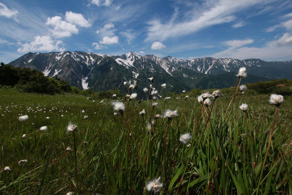 Meteor Garden Hotel Hakuba Exterior photo